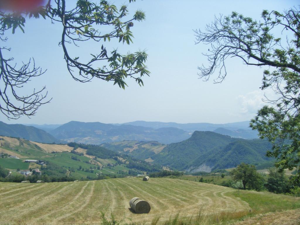 הוילה Castel dʼAiano La Piana Dei Castagni מראה חיצוני תמונה
