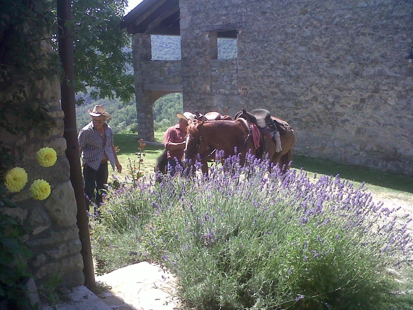 הוילה Castel dʼAiano La Piana Dei Castagni מראה חיצוני תמונה