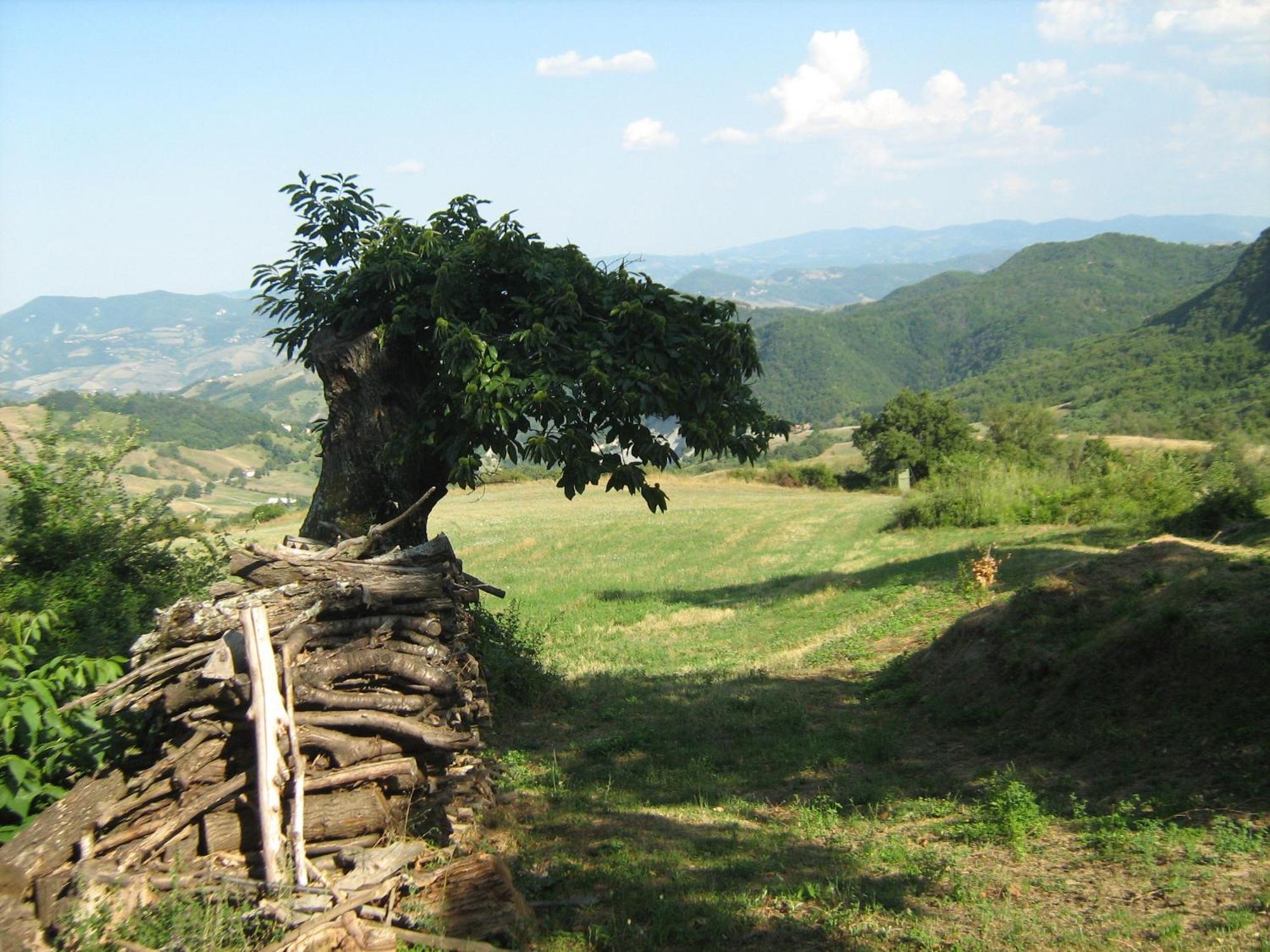 הוילה Castel dʼAiano La Piana Dei Castagni מראה חיצוני תמונה